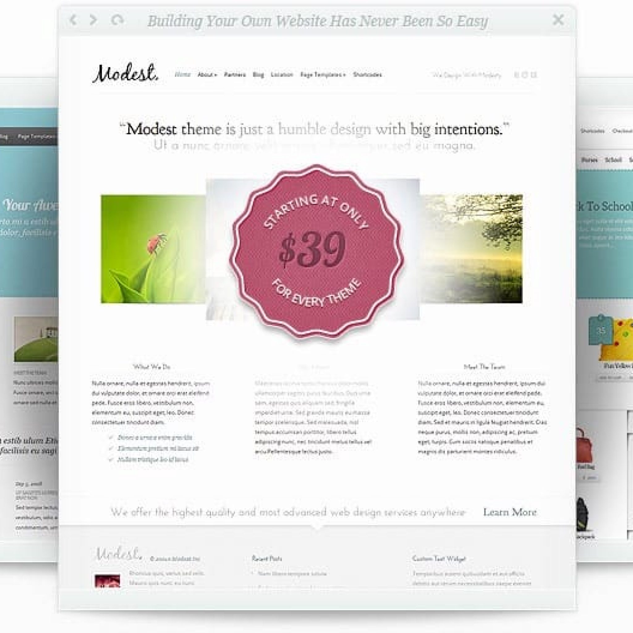 80 temas wordpress al precio de uno