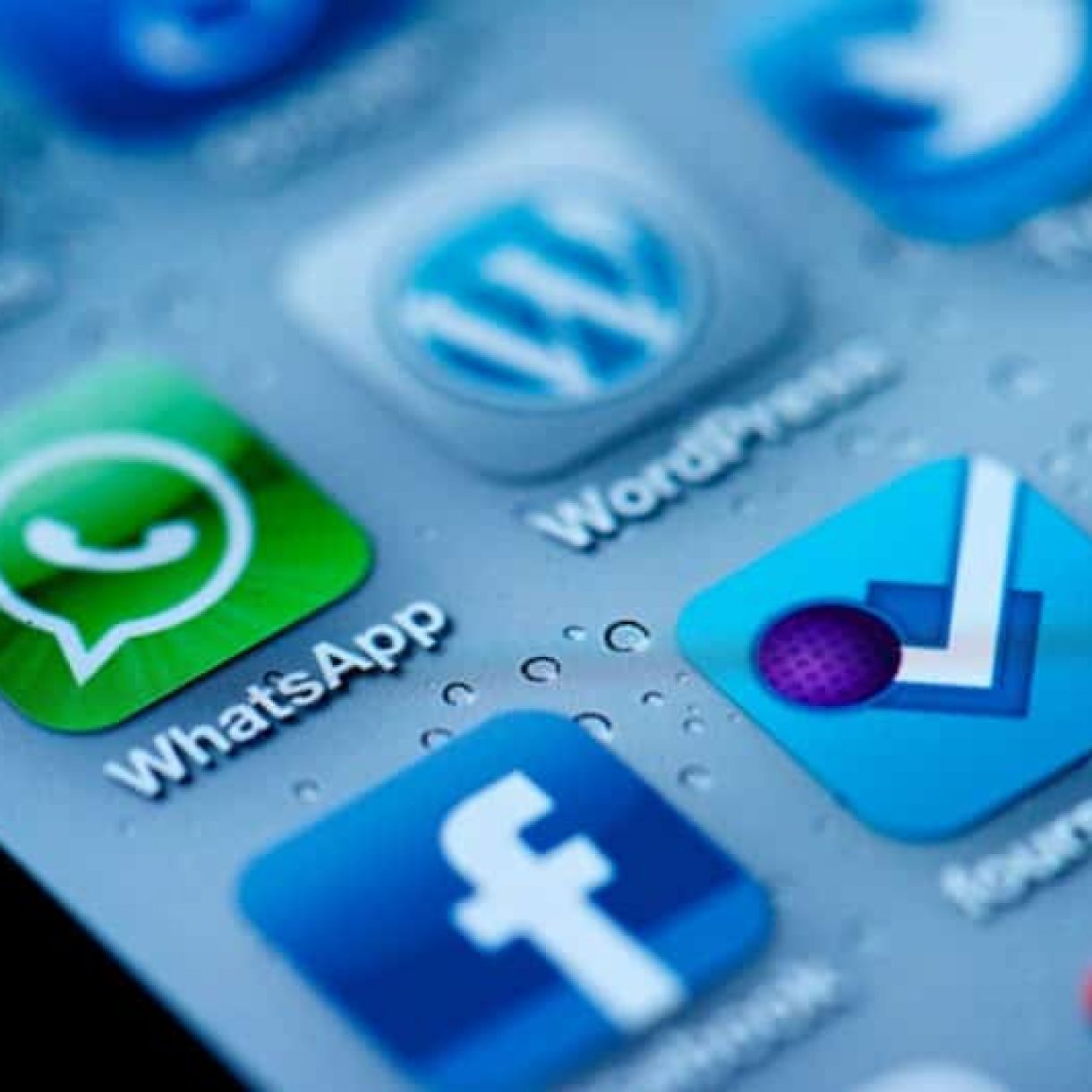Alternativas whatsapp