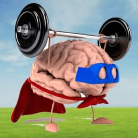Brain exercise