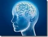 Cerebro Actividad Cerebral Thumb