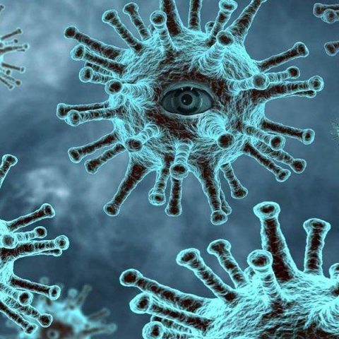 CoronaVirus