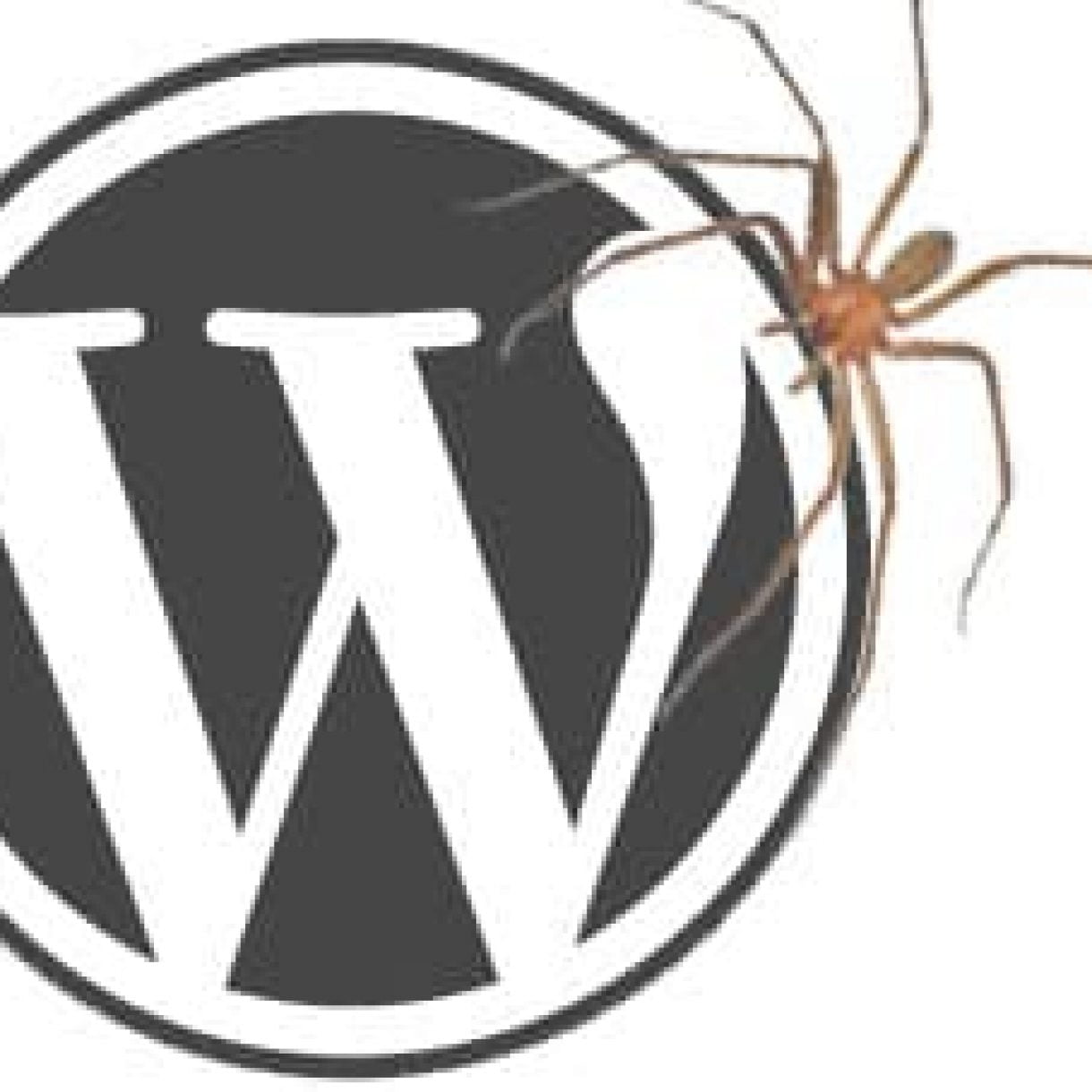 Como Saber Si Nuestro Blog En Wordpress Ha Sido Infectado