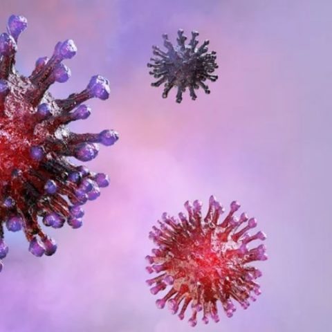 Coronavirus