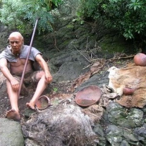 guanches
