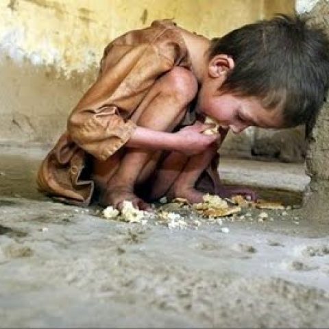 Hambre