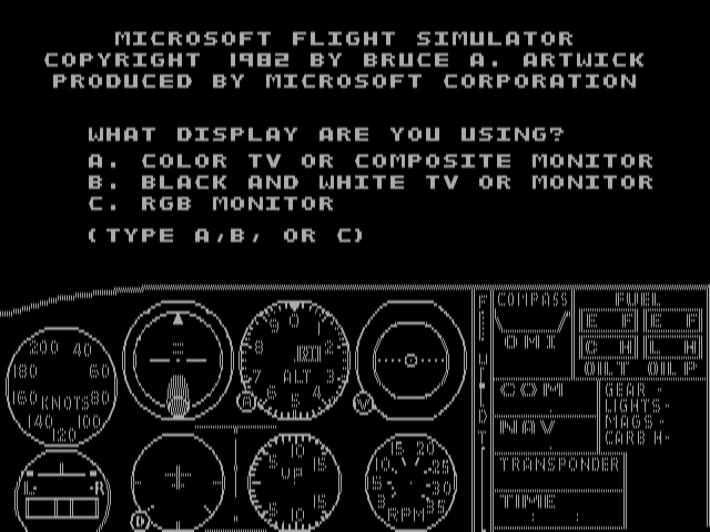 Flight Simulator 1