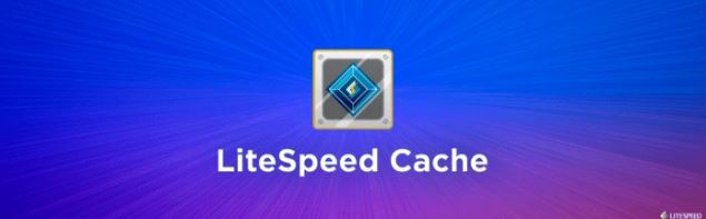 LiteSpeed