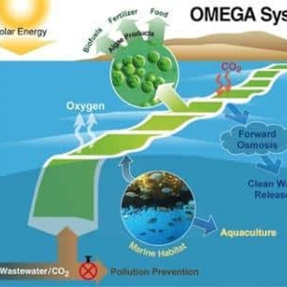 Omega Nasa Producir Biocombustible Sostenible