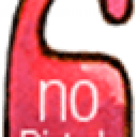 Privacy thumb png
