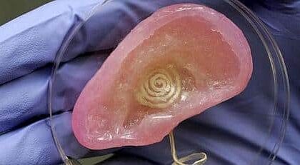 Una Oreja Bionica Podria Mejorar El Oido Humano