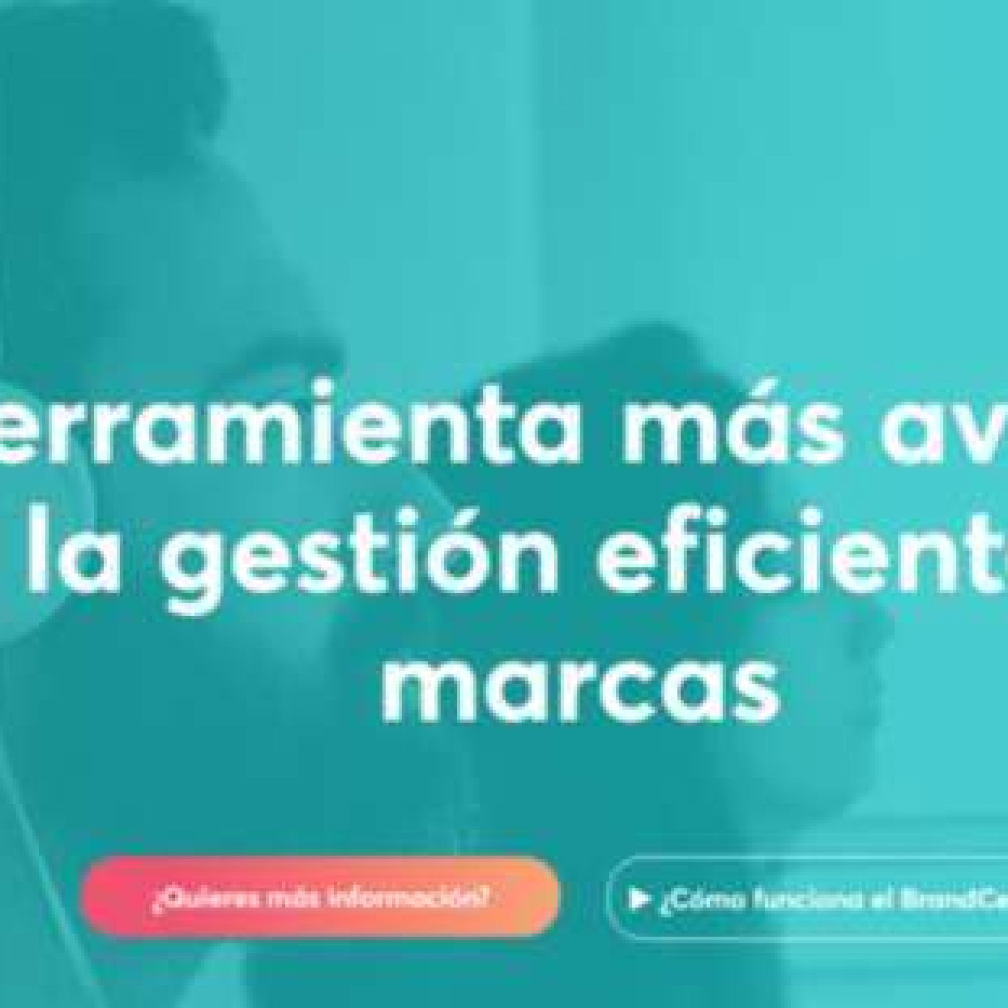 Verasoul Com Brandcenteraggylonpantallazo