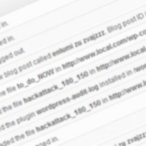 Verasoul Com Como Monitorear La Actividad De Los Usuarios En Wordpress
