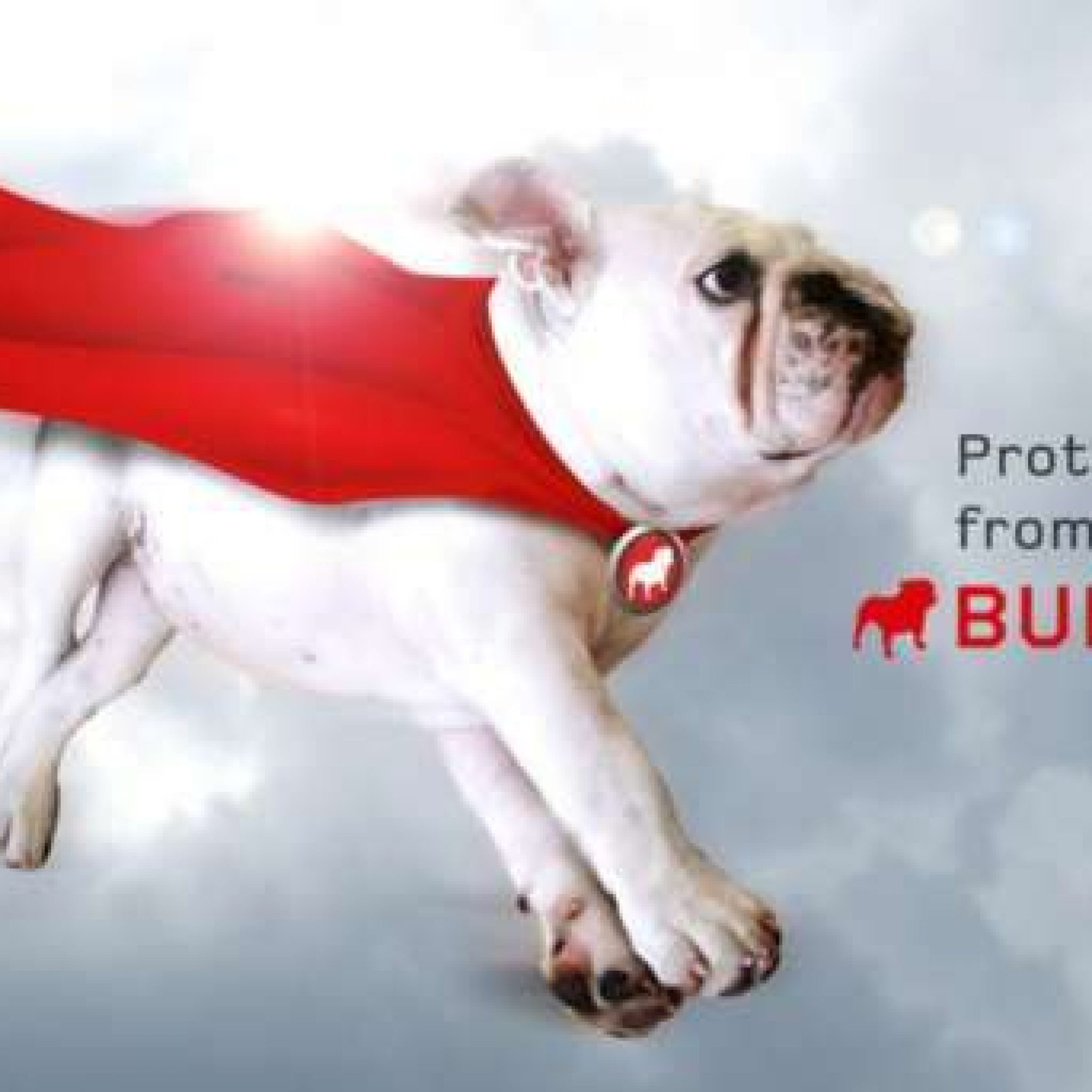 Verasoul com bullguard