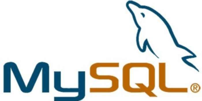 Verasoulcom Logomysql