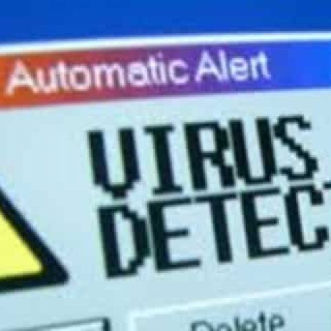 Virus