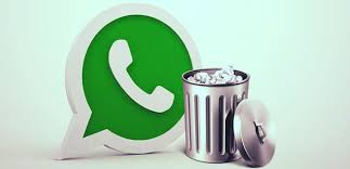 Whatsapp Desencriptar O Recuperar Mensajes