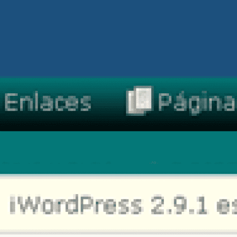 Wordpress291
