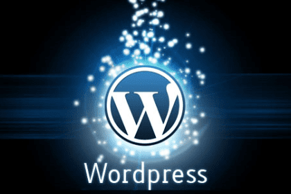 Wordpress30