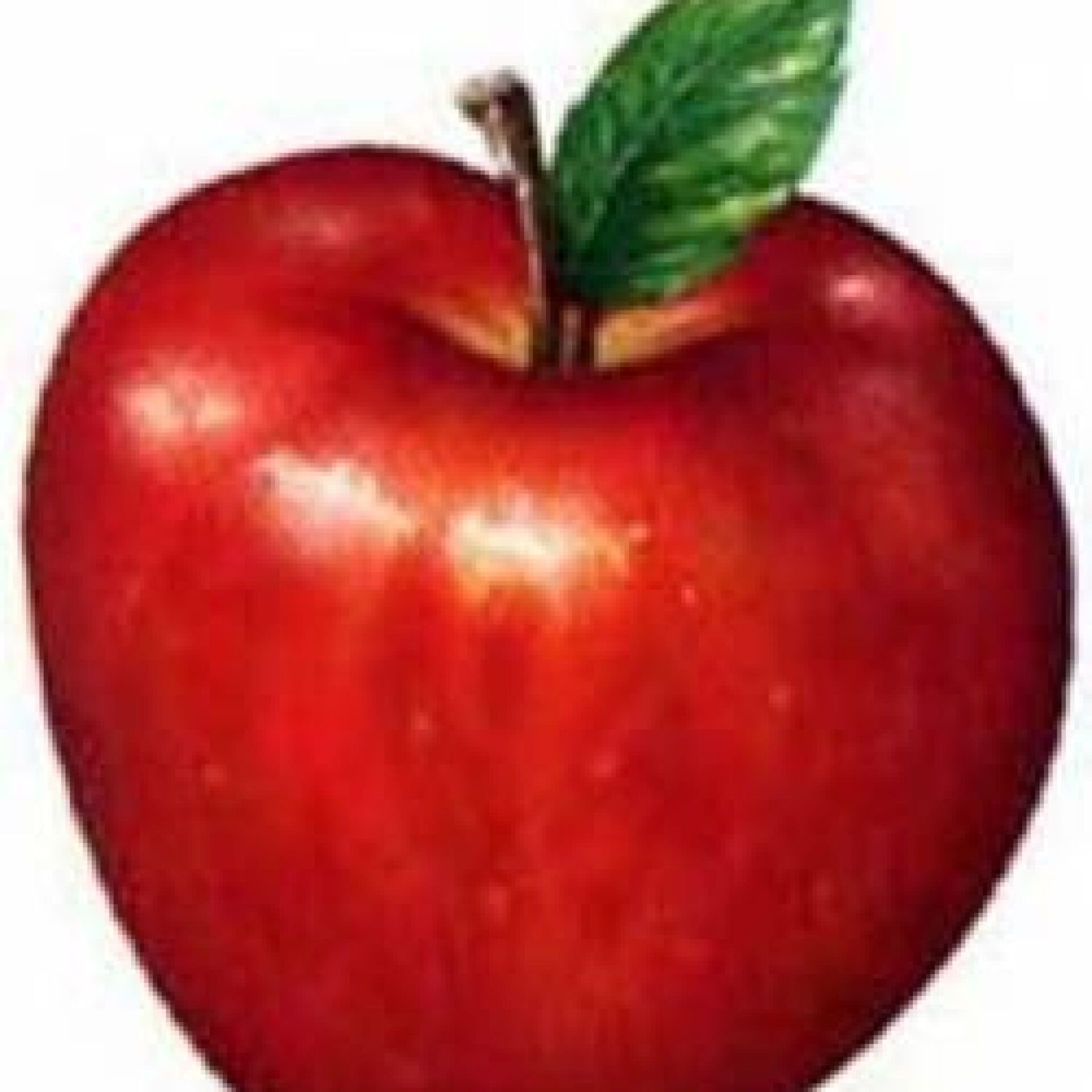 La Manzana: El Fruto Prohibido Que Está Bueno