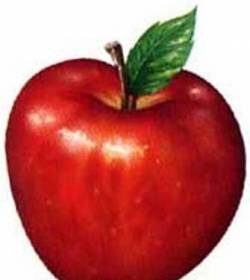 Manzana Roja