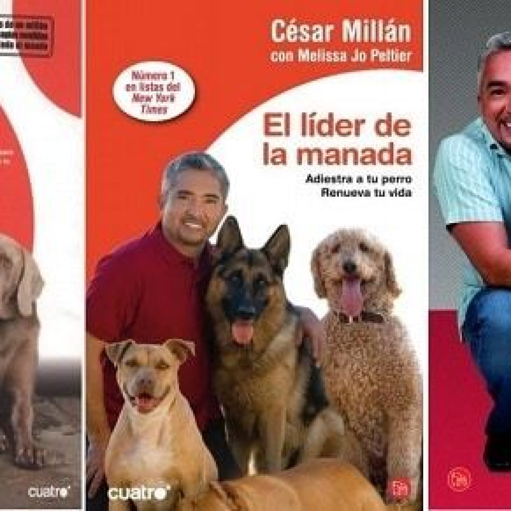 Cesar Millán - El Encantador De Perros (3 Pdf,S)