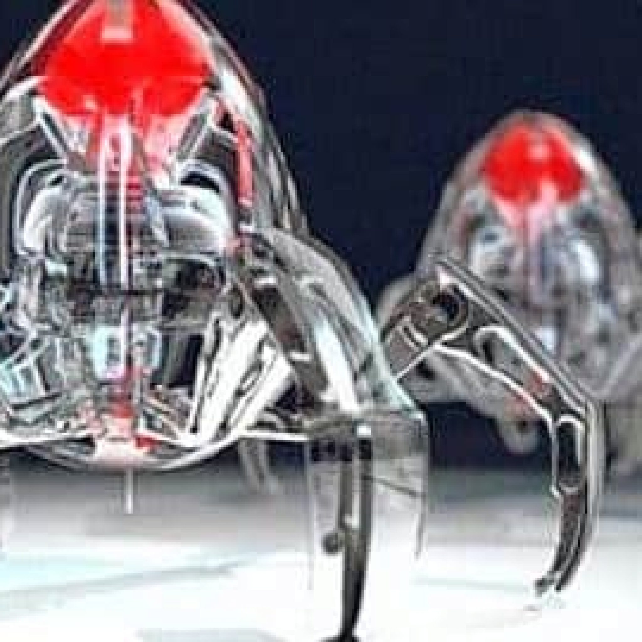 Nanobots