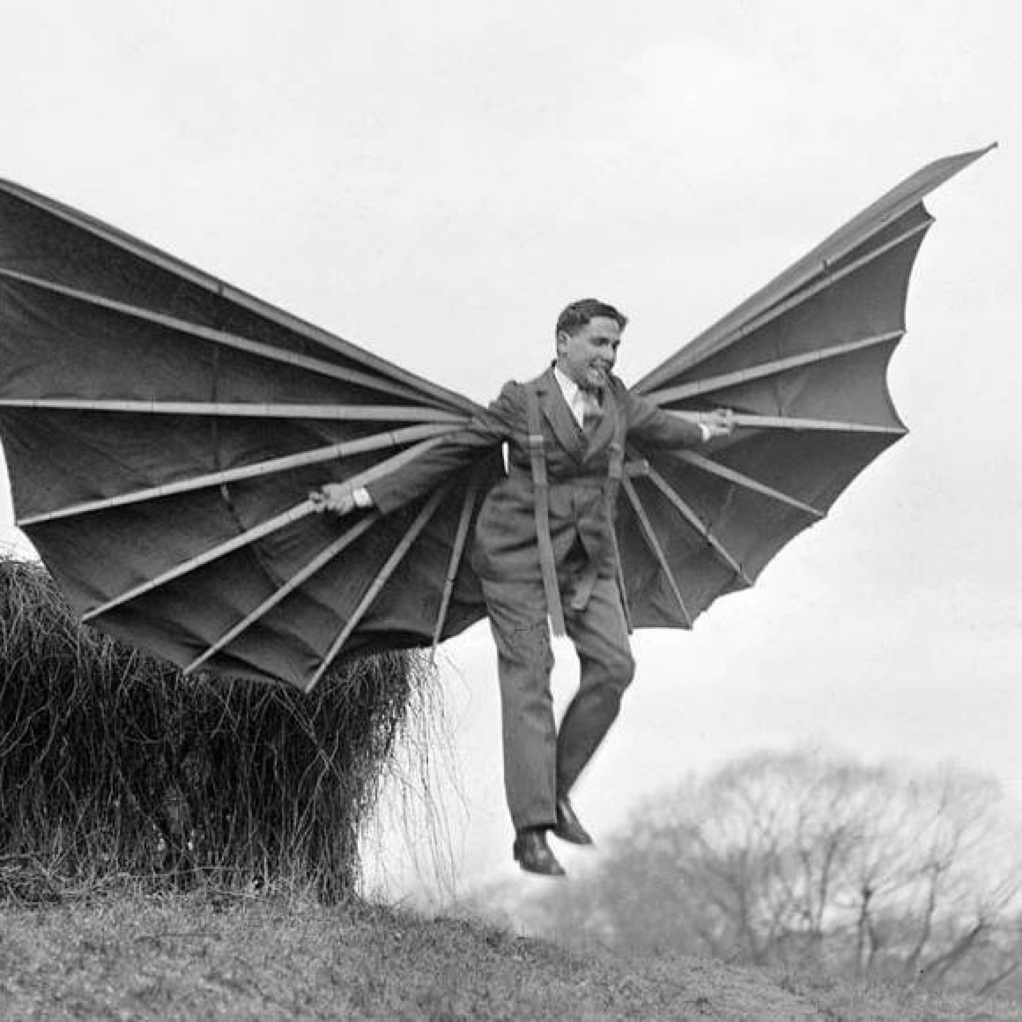 Alberti Flying Contraption