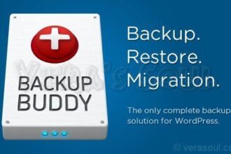 Backupbuddy
