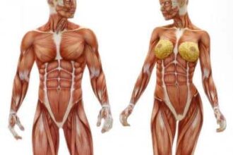 Cuerpo humano