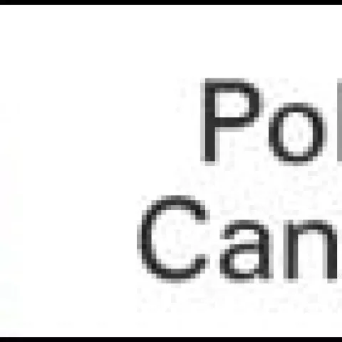 Des policia local ppal 3