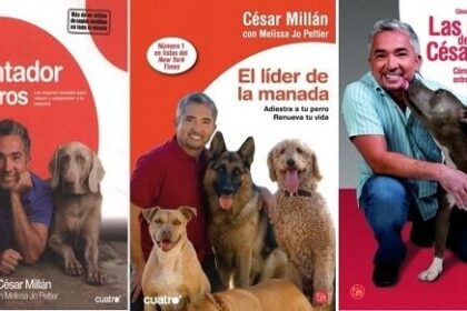 Encantador De Perros