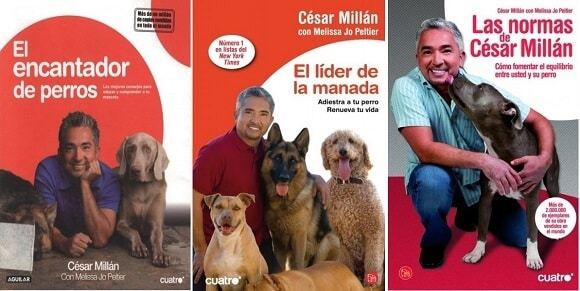 Encantador De Perros