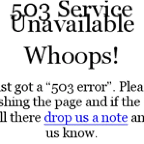 Error503 wpcom thumb png