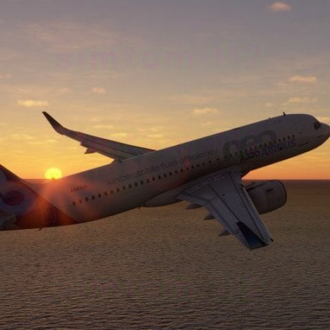 Flight Simulator
