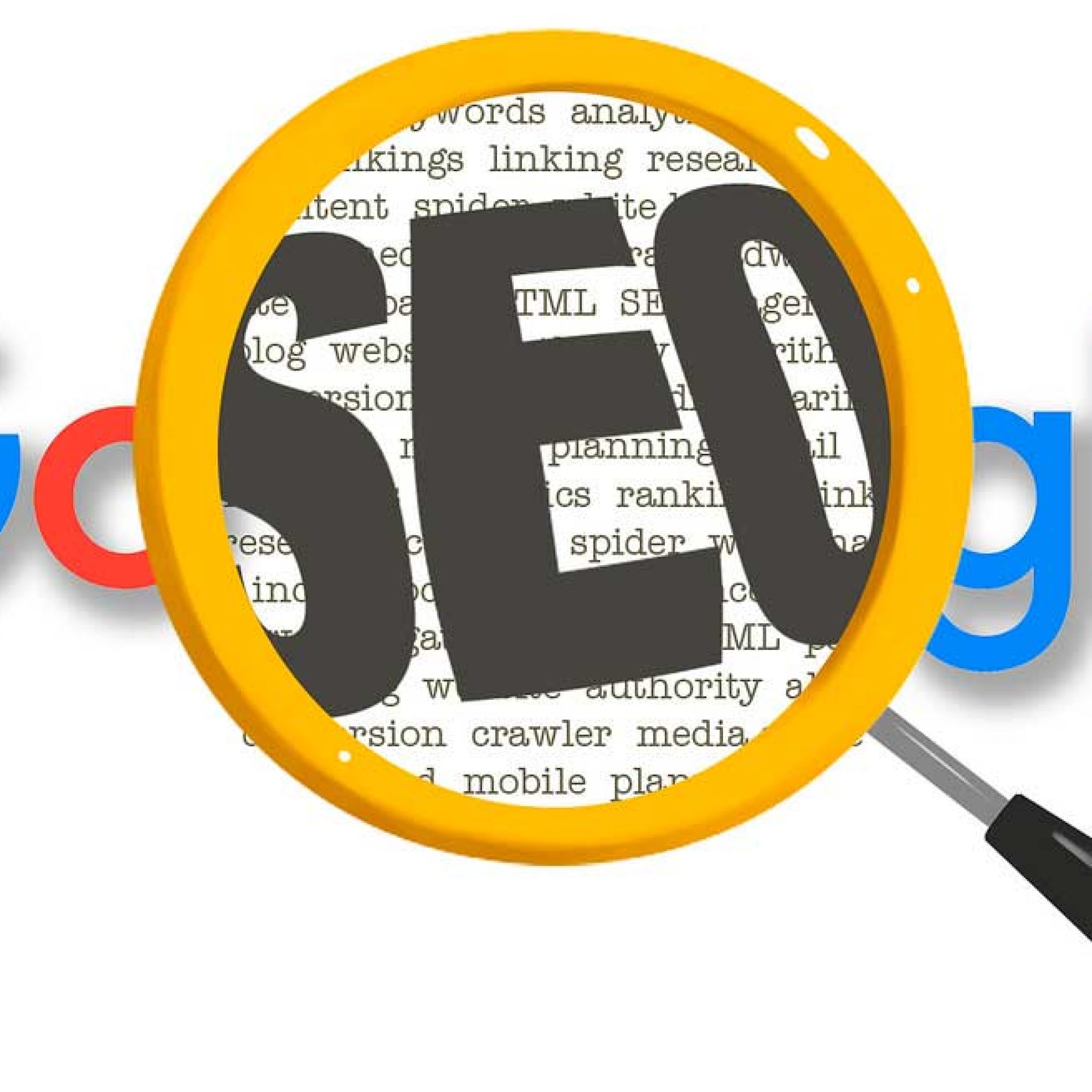 Mejores Libros De Seo