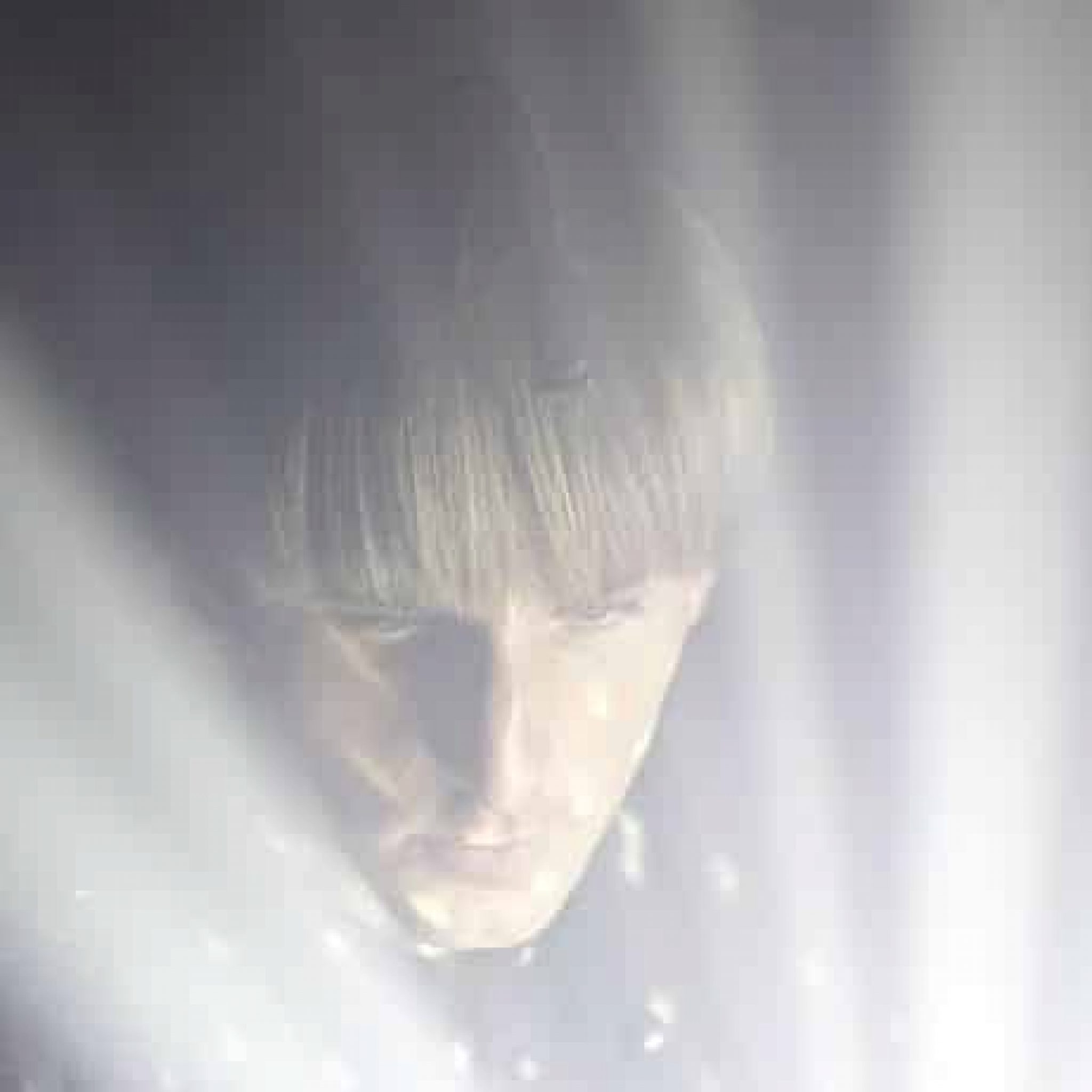 Neil Harbisson El Primer Ciborg De La Historia