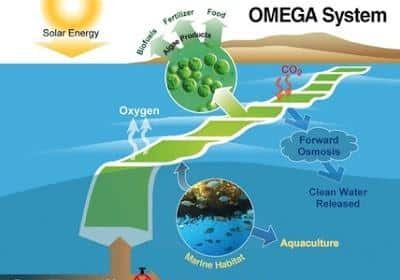 Omega Nasa Producir Biocombustible Sostenible