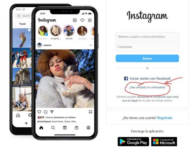Recuperar Contraseña Instagram