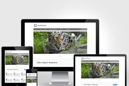 Responsive Design Silverclean