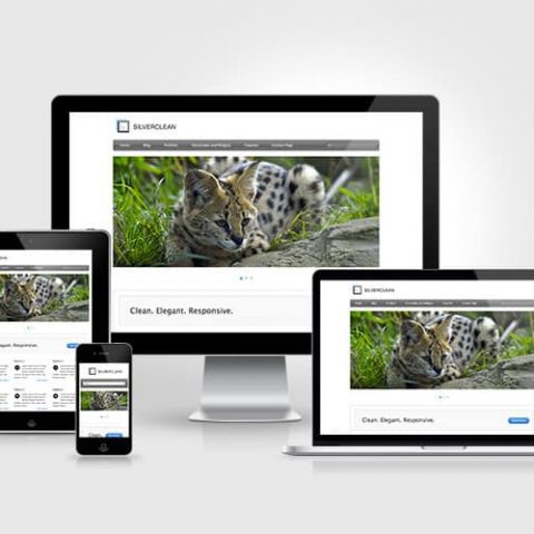 Responsive Design Silverclean