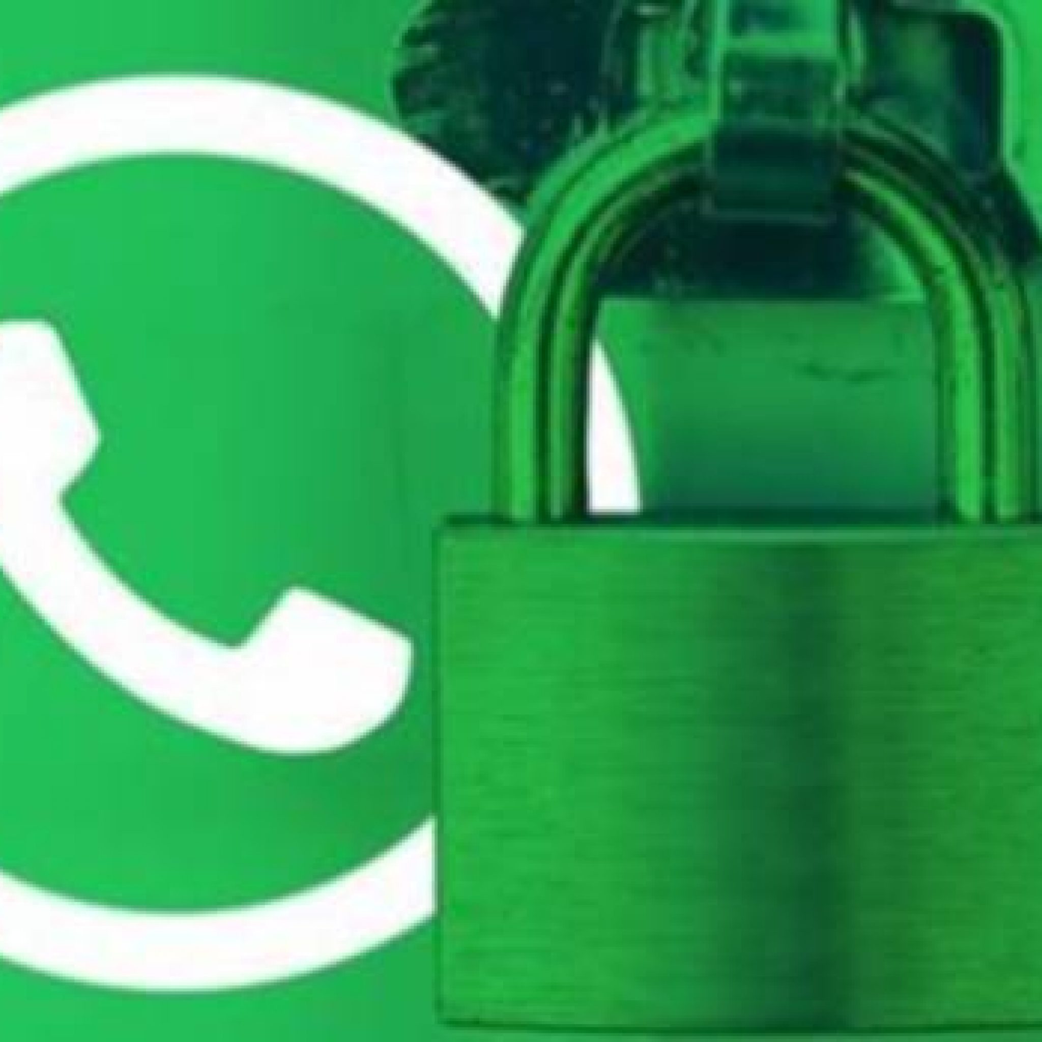 Seguridad Whatsapp