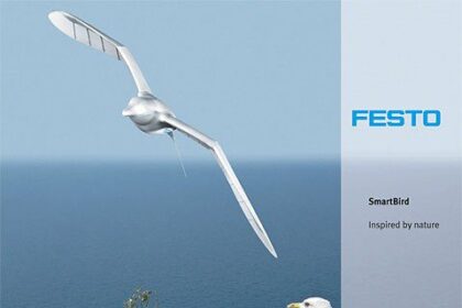 Smartbird El Pajaro Robot Que Puede Volar