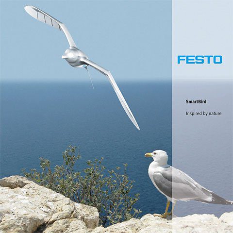 Smartbird El Pajaro Robot Que Puede Volar