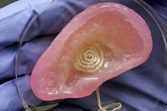 Una Oreja Bionica Podria Mejorar El Oido Humano