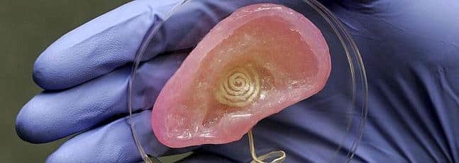Una Oreja Bionica Podria Mejorar El Oido Humano