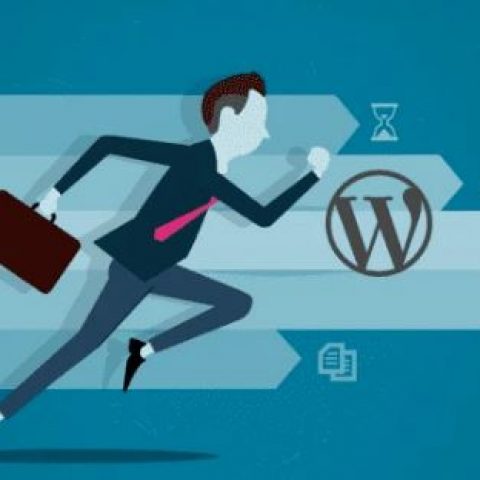 Velocidad De Carga Web