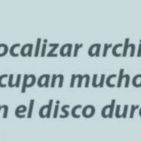 Verasoul Com Wiztree Logo
