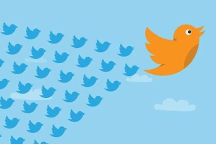 Verasoul com seguidores twitter verasoul