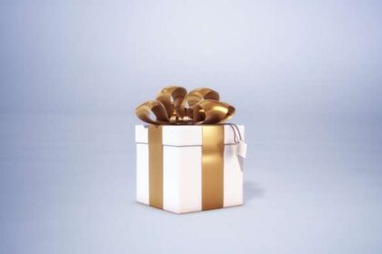 Verasoulcom Impossiblepresent