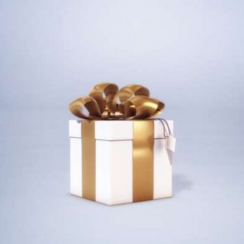 Verasoulcom Impossiblepresent